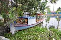 Sur les backwaters